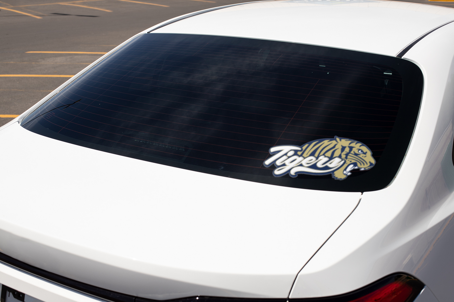 Cohoes Tigers Window Decal