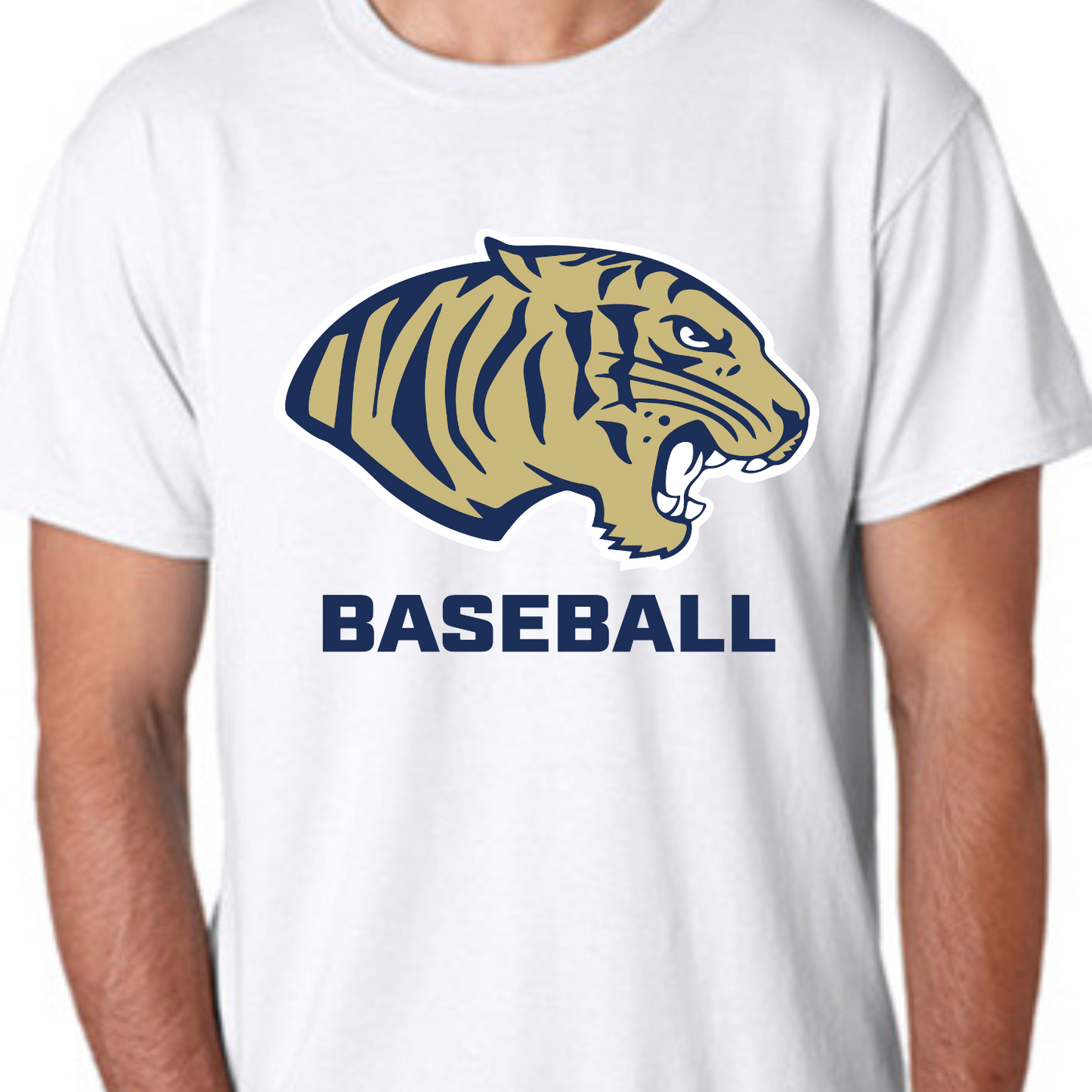 Cohoes Tigers Baseball