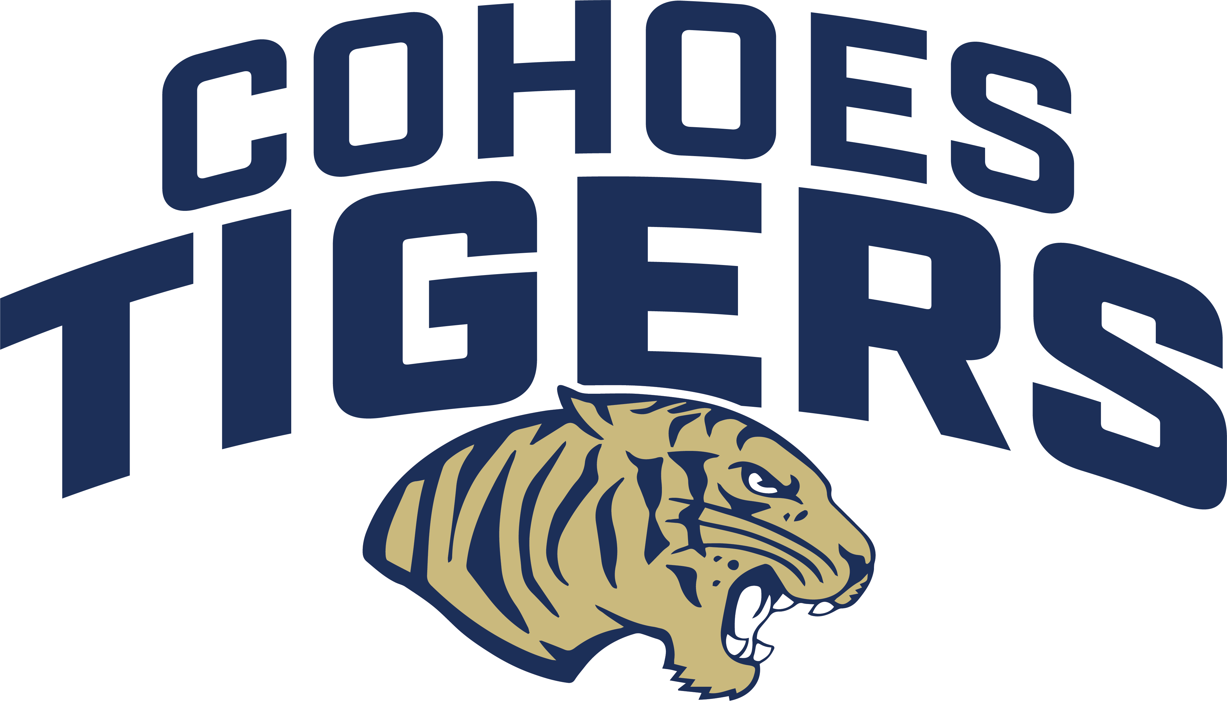 files/Cohoes-tigers-curve.png  