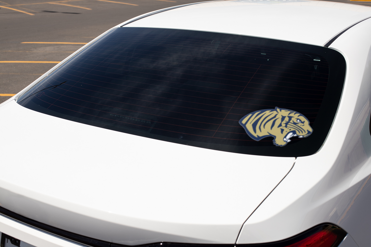 Cohoes Tiger Head Window Decal